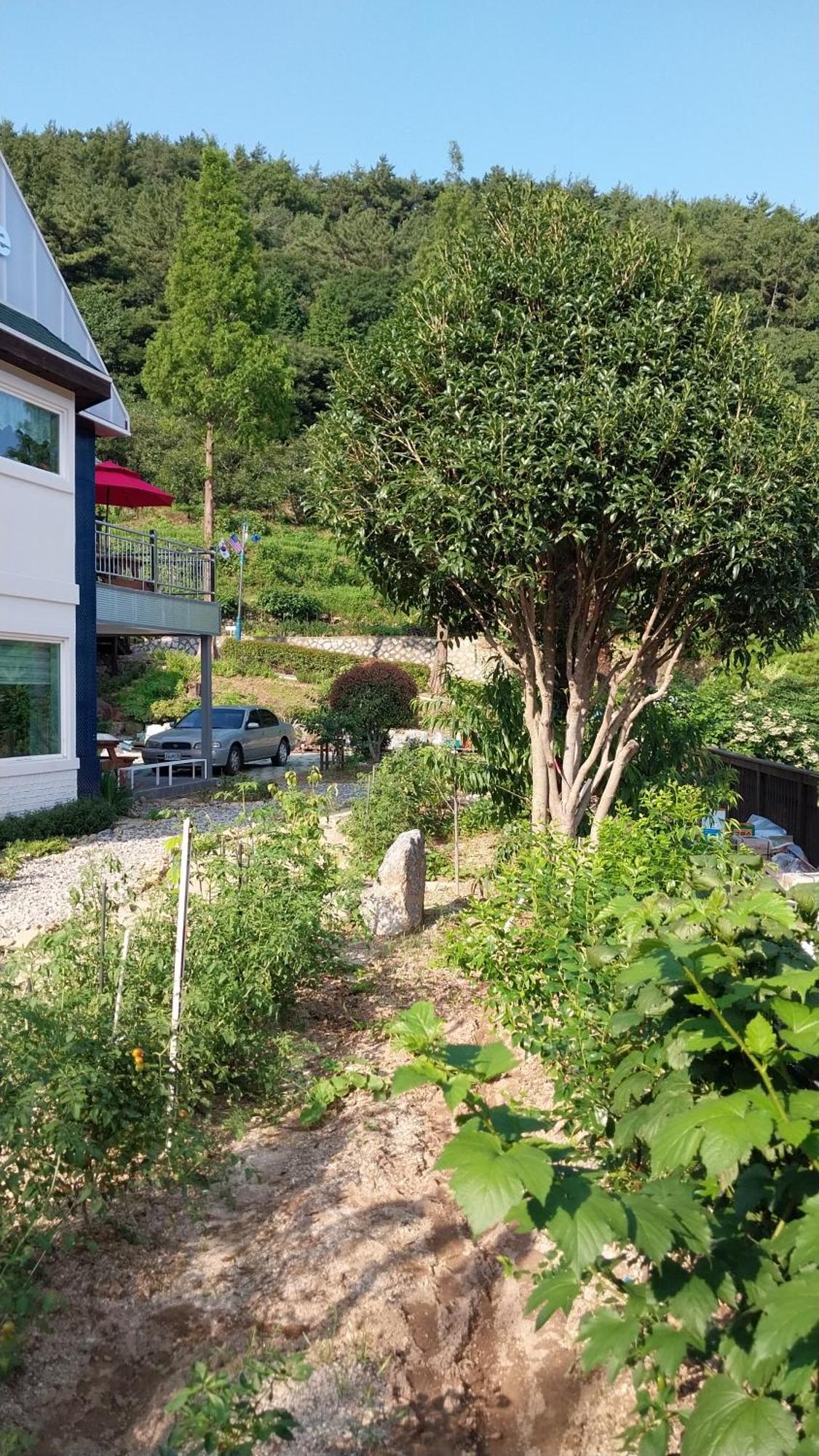 White House Hotel Namhae Buitenkant foto